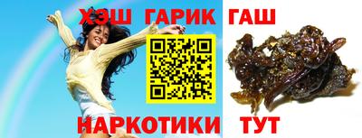 гидропоника Можга