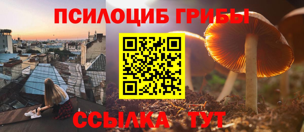 Псилоцибиновые грибы прущие грибы Трёхгорный